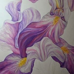 Meet your Posher, Jacy